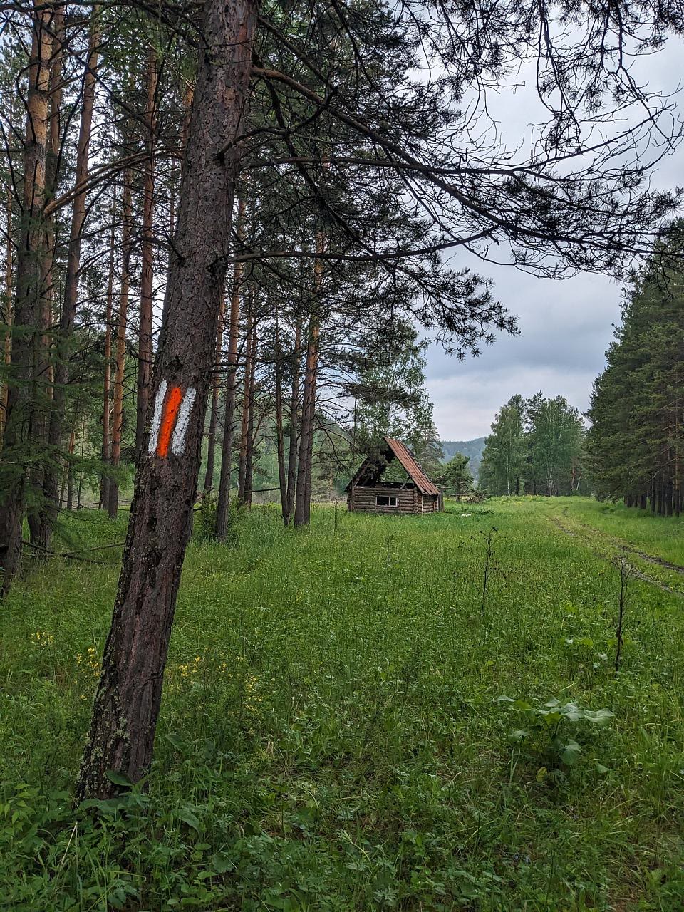 Маркированная тропа среди горных ландшафтов Южного Урала